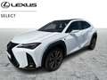 Lexus UX 250h F SPORT Design Blanc - thumbnail 1