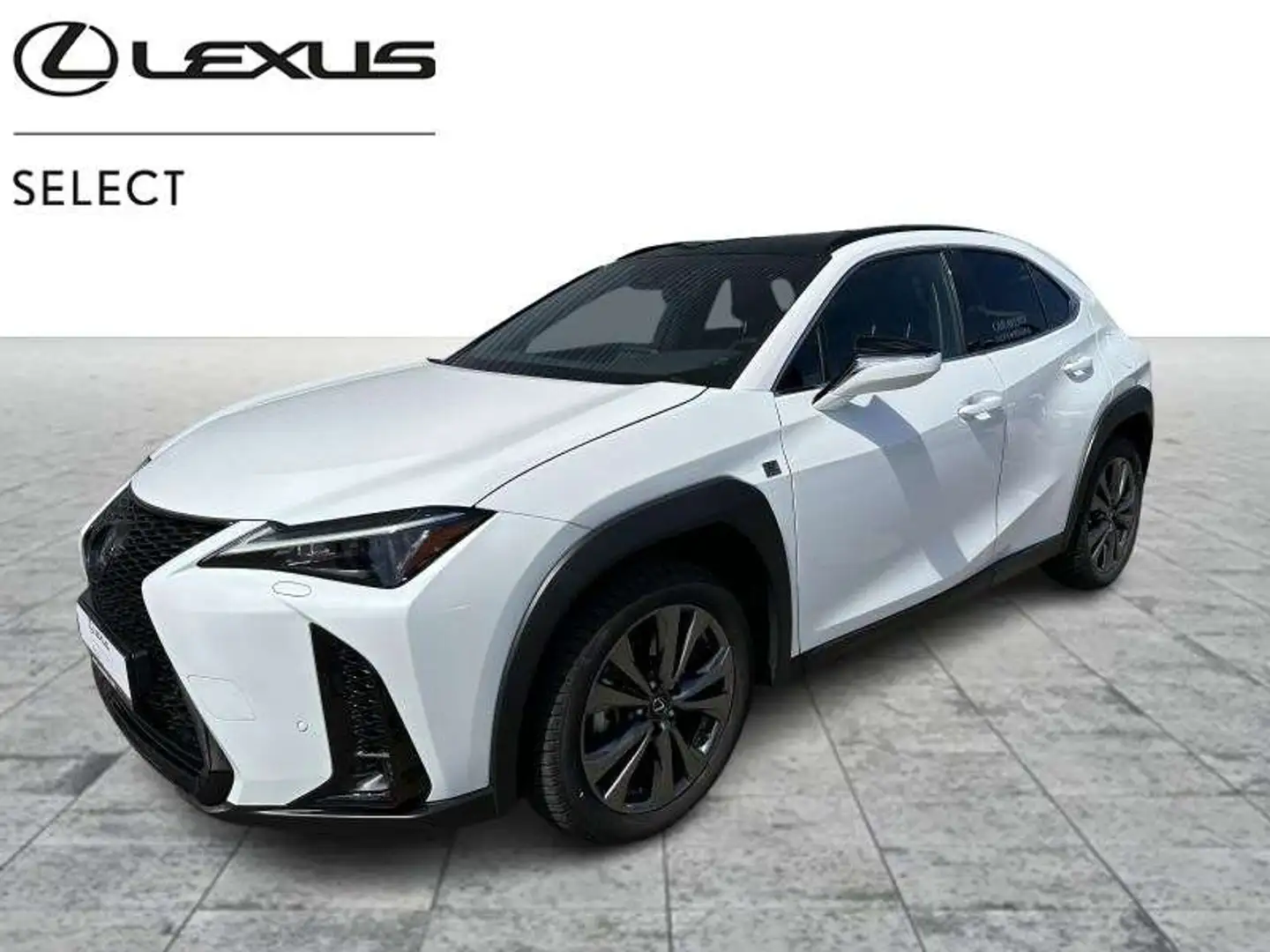 Lexus UX 250h F SPORT Design Blanc - 1