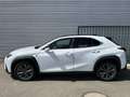 Lexus UX 250h F SPORT Design Blanc - thumbnail 24