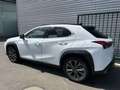 Lexus UX 250h F SPORT Design Blanc - thumbnail 29
