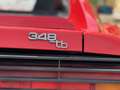 Ferrari 348 FERRARI 348 TB 3.4 300 CV UNICA DA COLLEZIONE Rojo - thumbnail 14