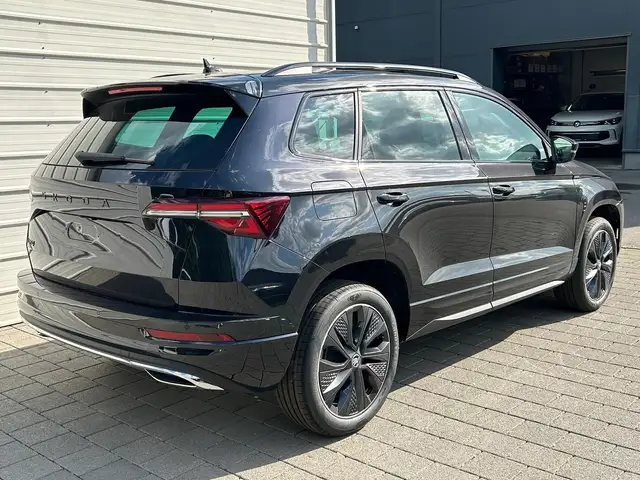 Skoda Karoq view 4