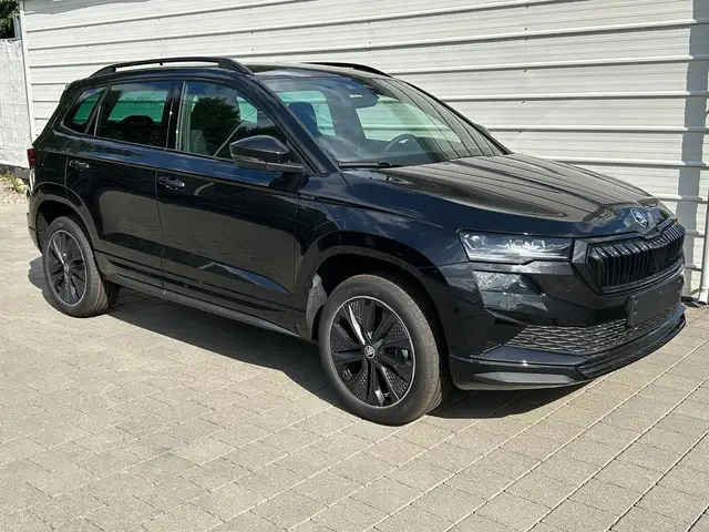 Skoda Karoq main image