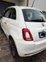 Fiat 500 500 1.2 Lounge 69cv - thumbnail 5