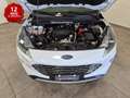 Ford Kuga 1.5 ecoblue Titanium Business 2wd 120cv Blanc - thumbnail 8
