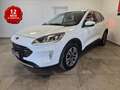 Ford Kuga 1.5 ecoblue Titanium Business 2wd 120cv Blanc - thumbnail 3