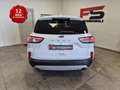 Ford Kuga 1.5 ecoblue Titanium Business 2wd 120cv Blanc - thumbnail 6