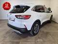 Ford Kuga 1.5 ecoblue Titanium Business 2wd 120cv Blanc - thumbnail 5
