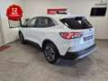 Ford Kuga 1.5 ecoblue Titanium Business 2wd 120cv Blanc - thumbnail 7