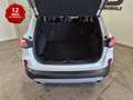 Ford Kuga 1.5 ecoblue Titanium Business 2wd 120cv Blanc - thumbnail 9