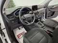 Ford Kuga 1.5 ecoblue Titanium Business 2wd 120cv Blanc - thumbnail 13