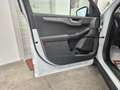 Ford Kuga 1.5 ecoblue Titanium Business 2wd 120cv Blanc - thumbnail 16