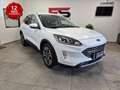 Ford Kuga 1.5 ecoblue Titanium Business 2wd 120cv Blanc - thumbnail 1