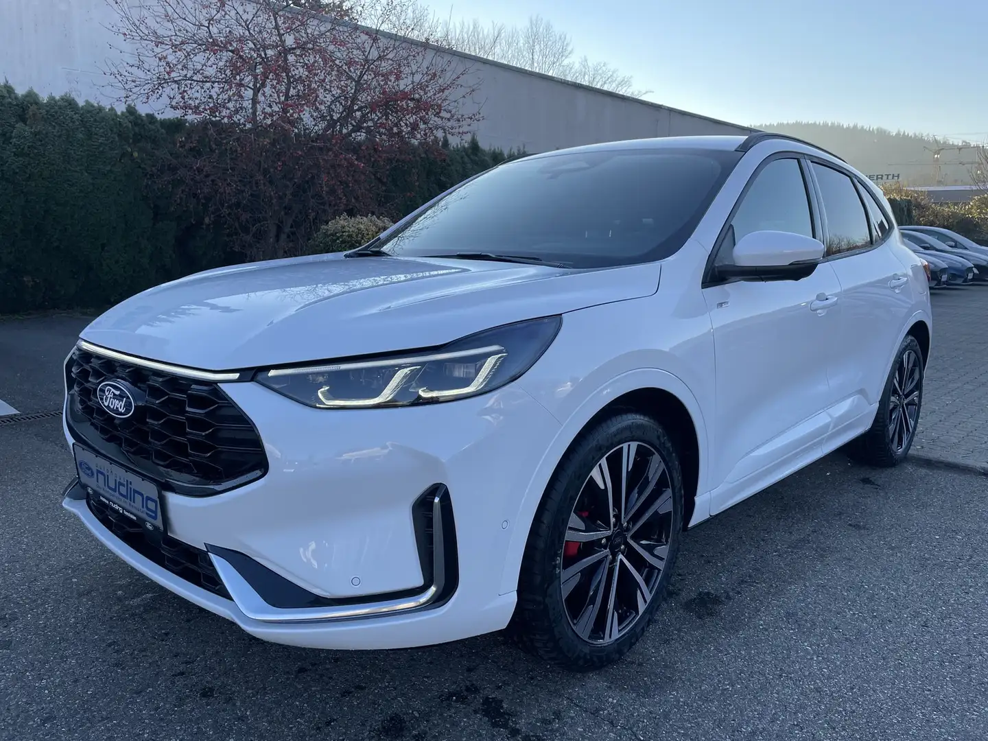 Ford Kuga 2.5 Duratec FHEV CVT ST-Line X 360°/BLIS/LED Weiß - 2