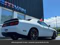 Dodge Challenger SRT8 6.4l Hors homologation 4500e Blanc - thumbnail 15