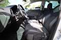 SEAT Leon 1.4 Xcellence LED Navi DAB PDC Sitzheizung Blanc - thumbnail 30