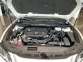 Lexus ES 300 300h Premium Blanco - thumbnail 24