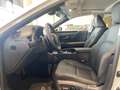Lexus ES 300 300h Premium Blanco - thumbnail 11