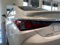Lexus ES 300 300h Premium Blanco - thumbnail 21
