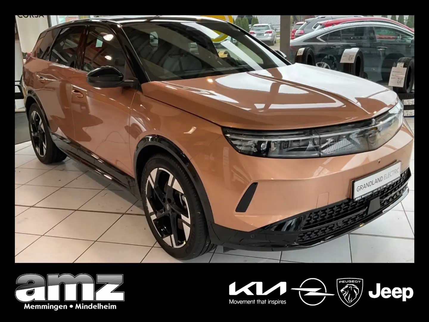 Opel Grandland GS Intelli-Lux-LED*LiveNavi*Wärmepumpe Коричневый - 1