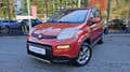 Fiat Panda 4x4 1,3 Multijet II 75 Rot - thumbnail 1