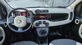 Fiat Panda 4x4 1,3 Multijet II 75 Rot - thumbnail 20