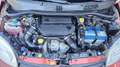 Fiat Panda 4x4 1,3 Multijet II 75 Rot - thumbnail 25