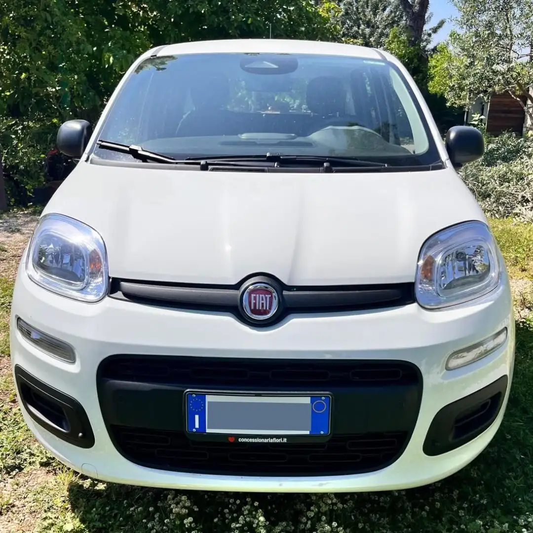 Fiat Panda Panda 1.0 firefly hybrid s Wit - 2