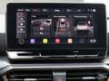CUPRA Leon Sportstourer 2.0 TDI ACC MEMORY BEATS eKLAP Alb - thumbnail 12