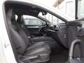 CUPRA Leon Sportstourer 2.0 TDI ACC MEMORY BEATS eKLAP Alb - thumbnail 4