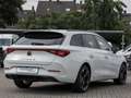 CUPRA Leon Sportstourer 2.0 TDI ACC MEMORY BEATS eKLAP Alb - thumbnail 3