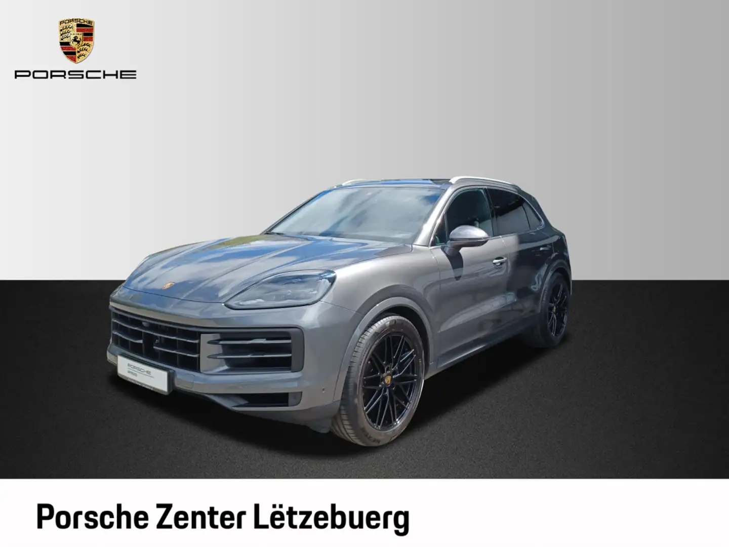Porsche Cayenne 3.0 Grijs - 1