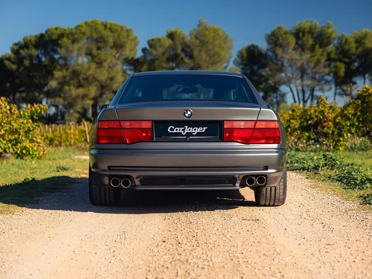 BMW 850 CSi, foto 3