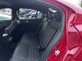 Alfa Romeo Giulia Quadrifoglio Rot - thumbnail 14