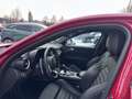 Alfa Romeo Giulia Quadrifoglio Rot - thumbnail 12