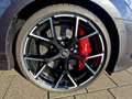 Audi RS3 Sportback RS-Dynamikpaket Plus Grigio - thumbnail 7