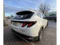 Hyundai TUCSON 1.6 CRDI 48V Maxx 4x2 Weiß - thumbnail 5