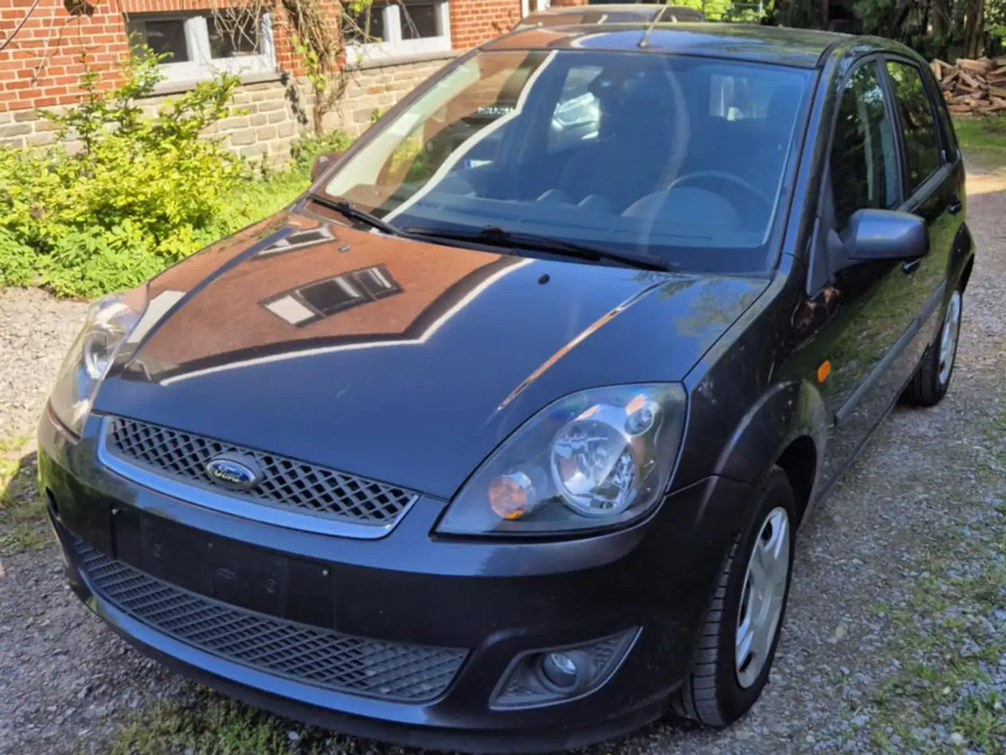 Ford Fiesta Fiesta 1.4 Turbo TDCi Ghia Blauw - 1