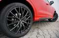 Audi Q3 40 TFSI quattro *UNFALLFREI *S-LINE *VOLL Rot - thumbnail 29