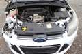 Ford Focus Lim. Titanium Weiß - thumbnail 10