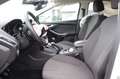 Ford Focus Lim. Titanium Weiß - thumbnail 12