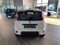 Fiat Panda 1.0 GSE Hybrid Weiß - thumbnail 8