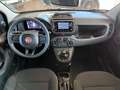 Fiat Panda 1.0 GSE Hybrid Weiß - thumbnail 10