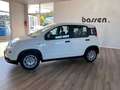 Fiat Panda 1.0 GSE Hybrid Weiß - thumbnail 3