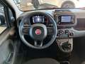Fiat Panda 1.0 GSE Hybrid Weiß - thumbnail 15