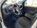 Fiat Panda 1.0 GSE Hybrid Weiß - thumbnail 11