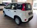 Fiat Panda 1.0 GSE Hybrid Weiß - thumbnail 4
