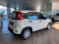 Fiat Panda 1.0 GSE Hybrid Weiß - thumbnail 5