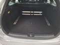 Kia Ceed SW / cee'd SW ceed SW  GT-LINE  140PS.TurboBenziner Silber - thumbnail 8