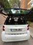 smart forTwo Coupe mhd passion edition automat Blanco - thumbnail 4